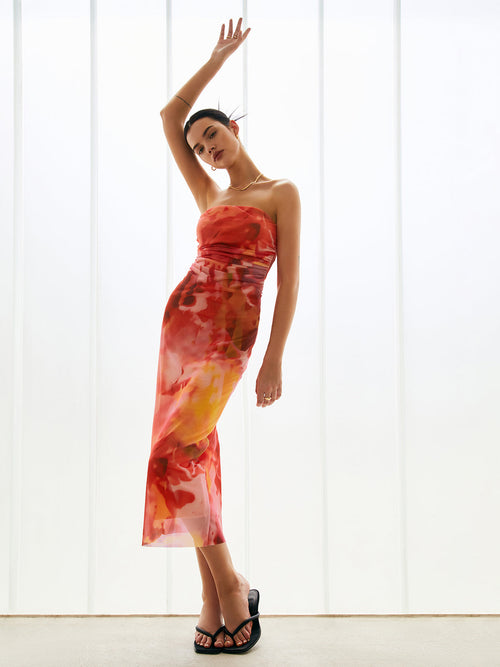 Semi-Sheer Mesh Midi Tube Dress